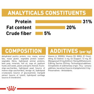 ROYAL CANIN® Maine Coon 10kg